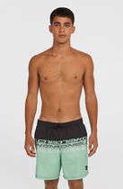O'neill Cali Stripe 16'' Swimshorts