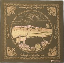 Skien Valley Bandana