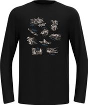 The Ascent Merino 200 Swiss Explorer Long Sleeve T-shirt