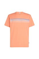 O'Neill O'neill Logo Stripe T-shirt Herren T-Shirt für sämtliche Outdoor Aktivitäten