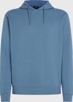 O'neill Small Logo Hoodie