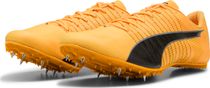 Evospeed Future 6