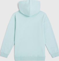 O'neill Logo Hoodie