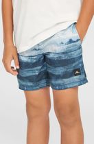 O'neill Cali Gradient 14" Swimshorts