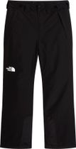The North Face Mens Descendit Pant Herren Skihose