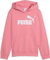 Essentials No. 1 Logo Hoodie FL G