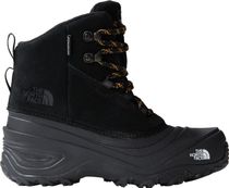 Y Chilkat V Lace WP