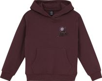 Color Kids Sweat Hoodie 742945