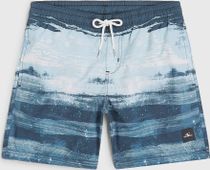 O'neill Cali Gradient 14" Swimshorts