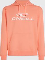 O'neill Logo Hoodie