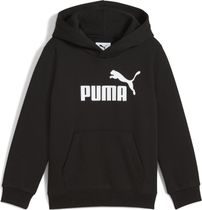 Essentials No. 1 Logo Hoodie FL PS