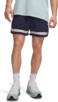 Under Armour Icon SW Terry Shorts Herren Laufshorts