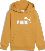 Essentials No. 1 Logo Hoodie FL PS