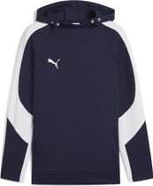 Teamevostripe Hoody
