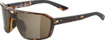 Alpina Swift Bike Eyewear