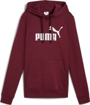 Essentials No. 1 Logo Hoodie FL (s)
