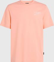 O'neill Box Logo T-shirt