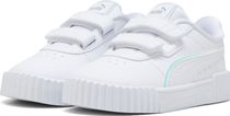 Carina 3.0 Holo 2.0 V Inf