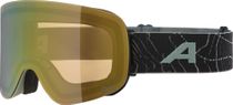 Alpina Penken Q-lite Unisex Skibrille