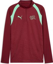 Puma SFV Training 1/4 Zip Top Herren Langarm Laufshirt