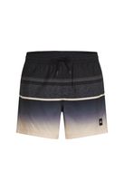 O'Neill O'neill Gradient 15'' Swimshorts Herren Bademode