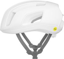 Cytal