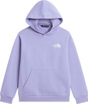 The North Face Teen Evolution Box NSE Pullover Hoodie