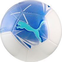 Puma Big Cat Ball