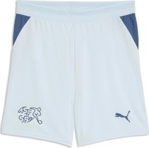 Puma SFV Shorts Replica Jr Outdoor Shorts