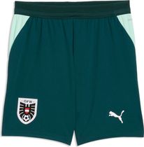 Puma öfb Shorts Replica Jr Kids's outdoor shorts