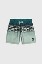 O'Neill O'neill Logo Stripe Swimshorts Jungen Bademode