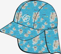 Hat AOP 720227