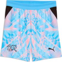 Puma SFV Shorts Replica Outdoor Shorts für Herren