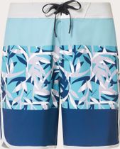 Session RC 19" Boardshort