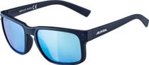 Alpina Kosmic Bike Eyewear