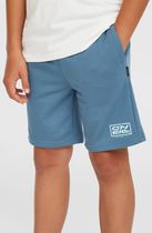 O'neill Logo Sweatshorts