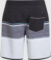 Lennox Scallop 19" Boardshorts