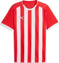 Puma teamLIGA26 Striped Jersey