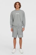 The Future Surf Society Shorts