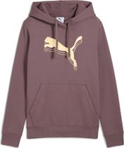 Essentials Metallic Hoodie FL