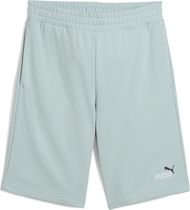 Essentials 2 Color No. 1 Logo Shorts 10" TR