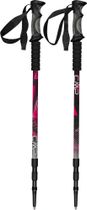 Bern Trekking Poles
