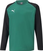 Puma Teamliga Training Sweat Jr