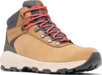 Newton Wander