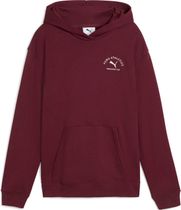 Puma Class Relaxed Hoodie TR G