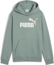 Essentials 2 Color No. 1 Logo Hoodie FL B