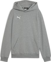 Puma Teamgoal Casuals Hoody Jr