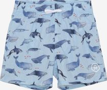 Swim Shorts AOP 720285