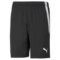 Puma Teamliga Shorts Herren Laufshorts
