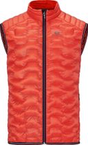 Men Motion Vest